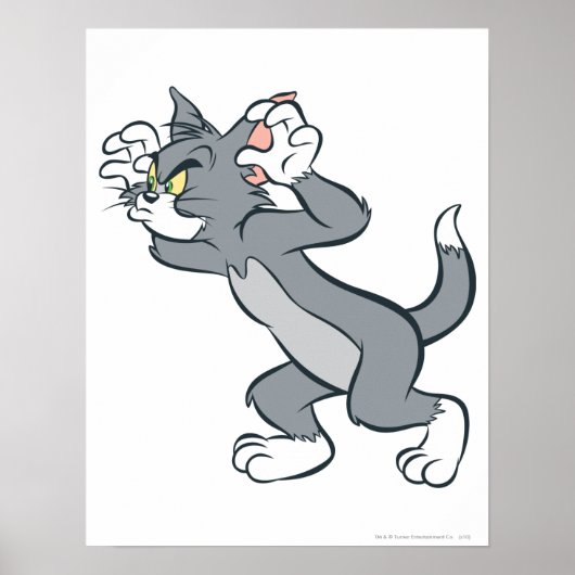 トム・レディ ポスター (正面)