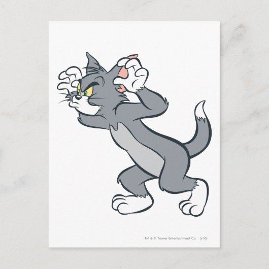 トム・レディ ポストカード (正面)