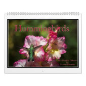 トムMinutolo著ハチドリ2016の月例カレンダー カレンダー (カバー)