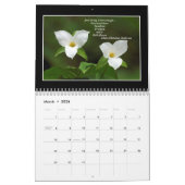 トムMinutolo著自然2017のカレンダーの精神 カレンダー (3月 2026)