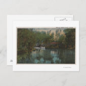 トモカ川とフロリダ州マーシュの水景 ポストカード (正面/裏面)