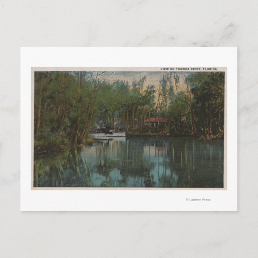 トモカ川とフロリダ州マーシュの水景 ポストカード (正面)