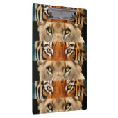 トラおよびライオンの目の写真 クリップボード (右)