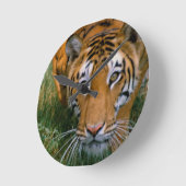 トラのつきまとうこと ラウンド壁時計 (傾斜)