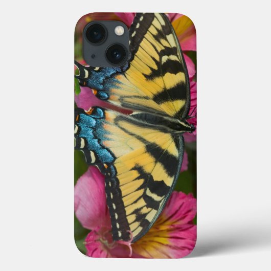 トラのアゲハチョウの蝶 Case-Mate iPhoneケース (裏面)