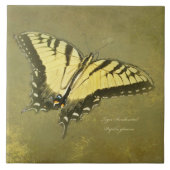 トラのアゲハチョウの蝶- Papilioのglaucus タイル (正面)