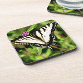 トラのアゲハチョウの蝶。 Papilio glacus. コースター (左側)