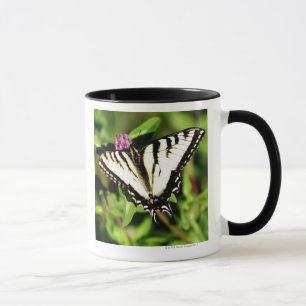 トラのアゲハチョウの蝶。 Papilio glacus. マグカップ