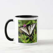 トラのアゲハチョウの蝶。 Papilio glacus. マグカップ (左)