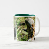 トラのコーヒー・マグ ツートーンマグカップ (正面右)