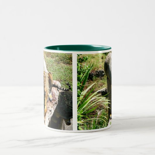 トラのコーヒー・マグ ツートーンマグカップ (中央)