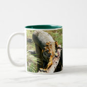 トラのコーヒー・マグ ツートーンマグカップ (左)