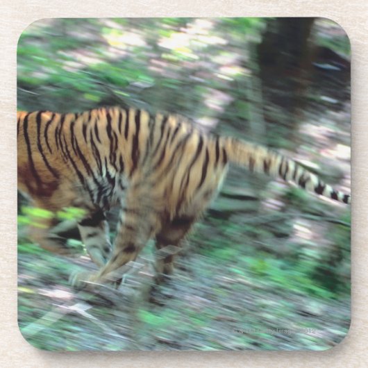 トラのランニング コースター (正面)