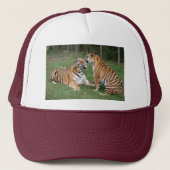 トラの友人007 キャップ (正面)