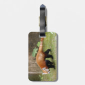 トラの友人009 ラゲッジタグ (裏面縦)