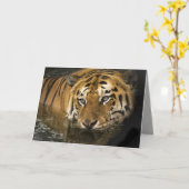 トラの挨拶状 カード (黄色い花)