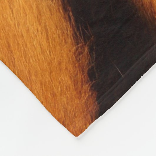 トラの毛皮の皮のプリントパターン フリースブランケット (角)