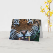 トラの牙は閉まります カード (黄色い花)