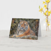 トラの王室のな雪カード カード (黄色い花)
