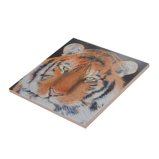 トラの目 タイル (側面)