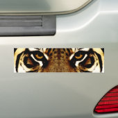 トラの目 バンパーステッカー (車上)