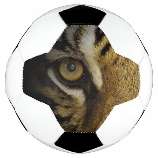 トラの眼の中 サッカーボール (正面)