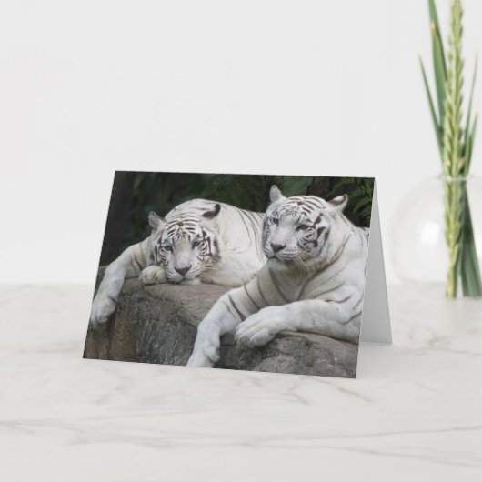 トラの組 カード (正面)