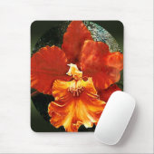 トラの蘭のマウスパッド マウスパッド (マウス)