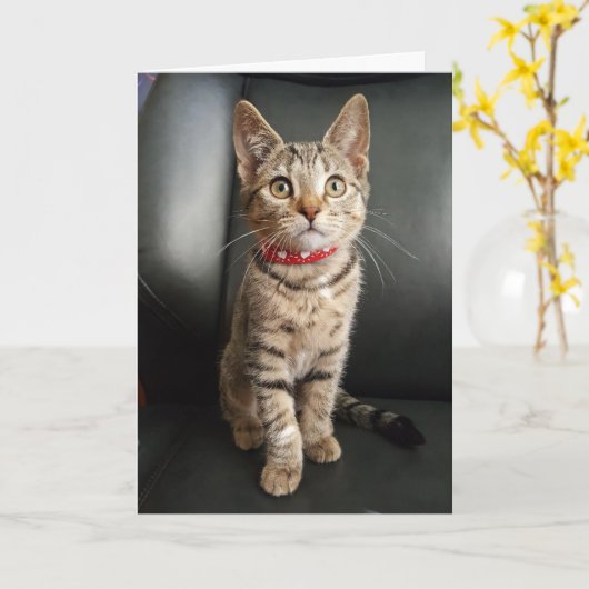 トラの虎猫の子ネコの誕生日またはすべての行事カード カード (黄色い花)