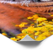 トラの赤ちゃん ポスター (角)