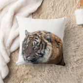 トラの野生のアフリカのジャングル動物の写真 クッション (ブランケット)