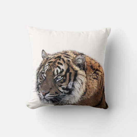 トラの野生のアフリカのジャングル動物の写真 クッション (正面)