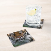 トラの頭部および顔 スクエアペーパーコースター (インサイチュ)