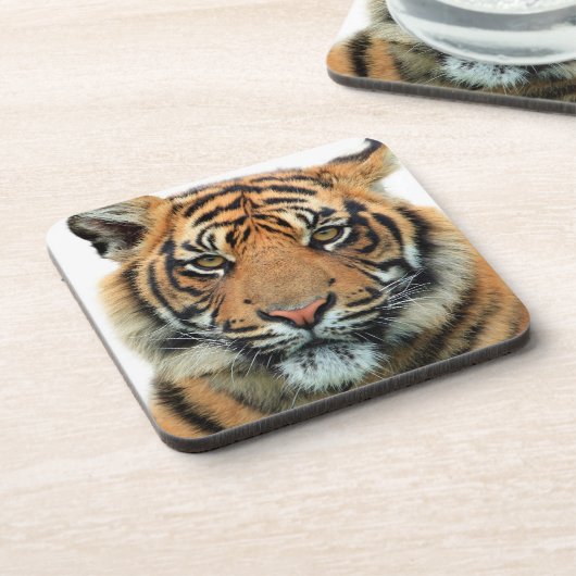 トラの顔 コースター (左側)