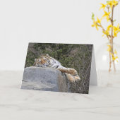 トラの"不精な日"の挨拶状 カード (黄色い花)