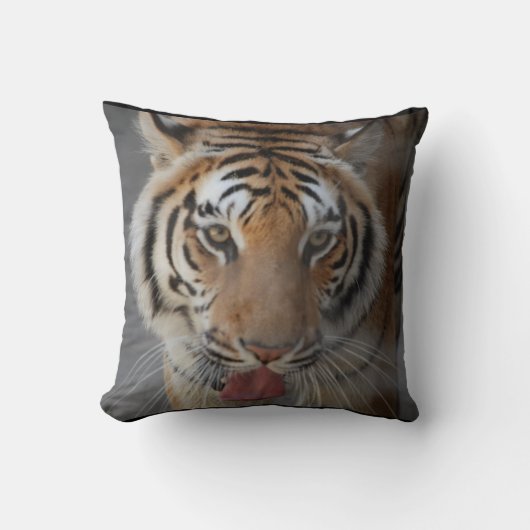 トラは枕に接吻します クッション (正面)