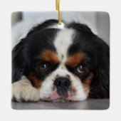 トライカラーカバリヤキングチャールズドッグ セラミックオーナメント (正面)