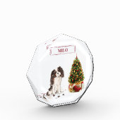 トライカラーキングチャールズスパニエル犬おもしろいクリスマスドッグ フォトブロック (左)