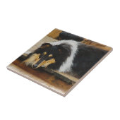 トライカラーコリンを待つ タイル (側面)