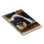 トライカラーコリンを待つ ノートブック (右側)