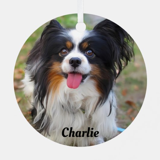 トライカラーパーソナライズされたパピヨンパピードッグ メタルオーナメント (裏面)