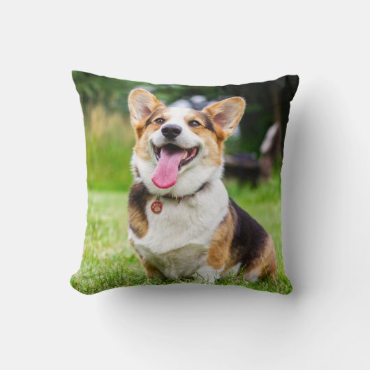 トライカラーペンブロークウェルシュコーギー子犬 クッション (正面)