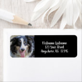 トライカラー縁どコリー顔アドレス ラベル (インサイチュ)