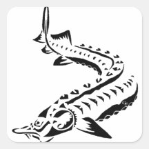 トライバルスタージオン – フソベルーガ