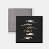 トラウトの種類 魚の種類 コレクション 釣り マグネット (正面/裏面)