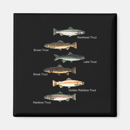 トラウトの種類 魚の種類 コレクション 釣り マグネット (正面)