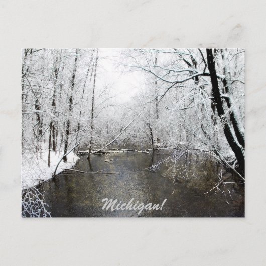 トラウト川 ポストカード (正面)