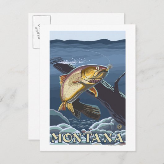 トラウト魚釣り断面 – モンタナ ポストカード (正面/裏面)