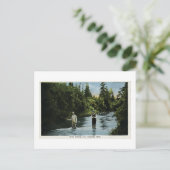 トラウト魚釣り、ミシガン州エスカナバの近くヴィンテージ ポストカード (スタンド正面)