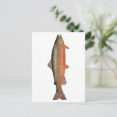 トラウト ポストカード (スタンド正面)